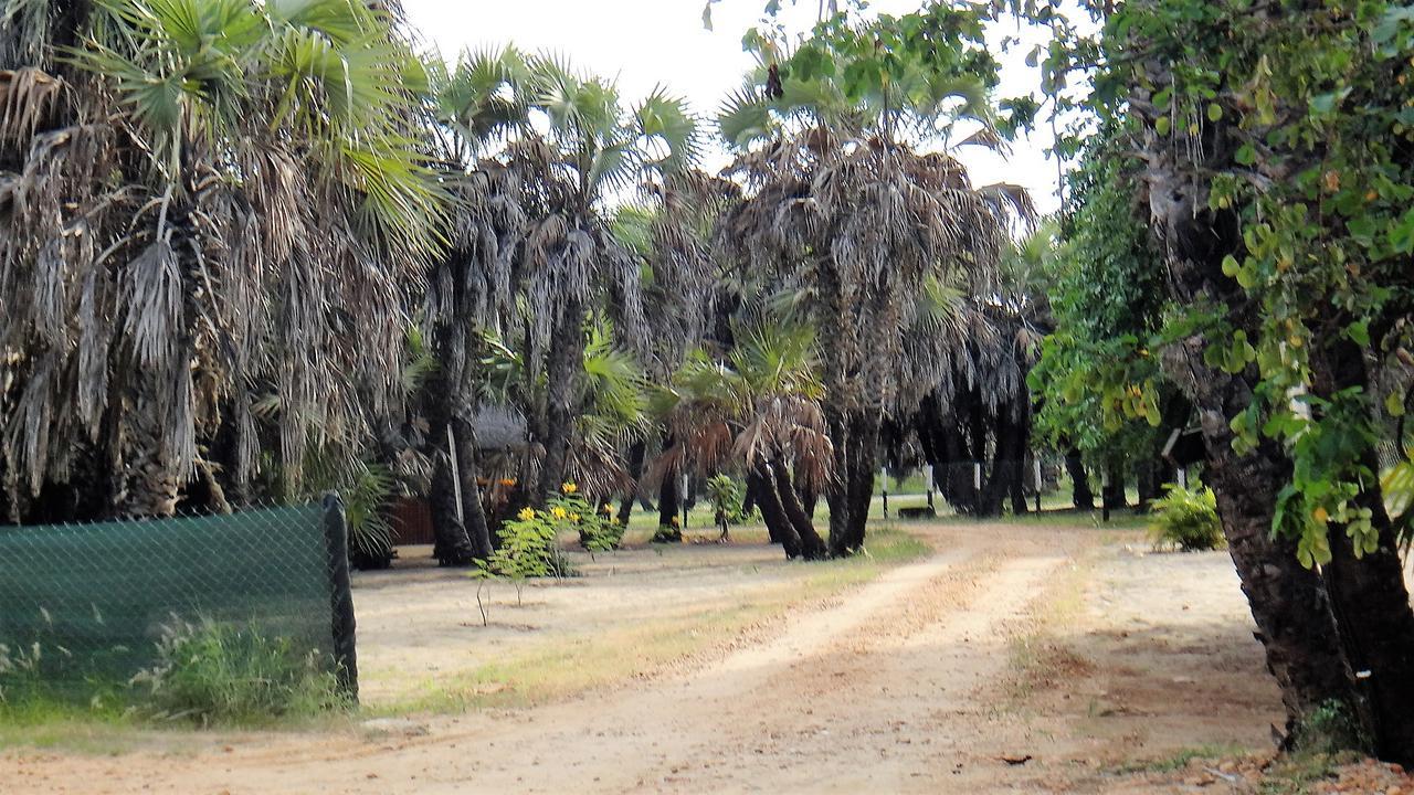 Paridiseos Resort Barra Do Dande 外观 照片